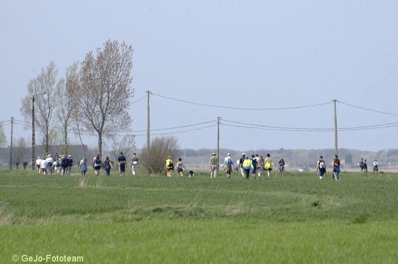 wandel2daagseblankenbergefoto19.jpg