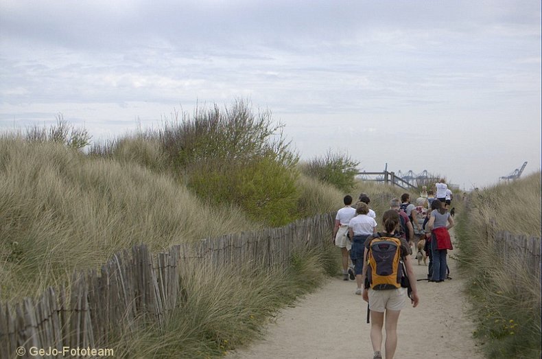 wandel2daagseblankenbergefoto26.jpg