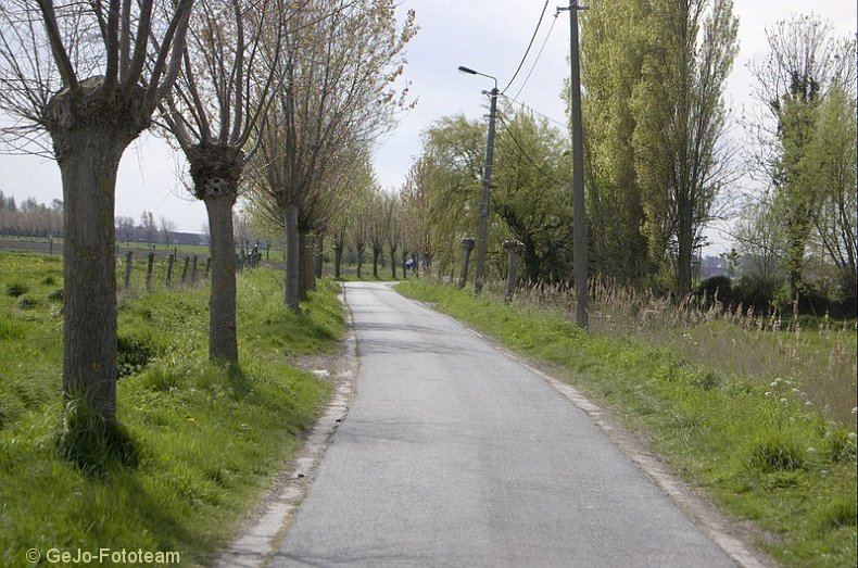 wandel2daagseblankenbergefoto29.jpg