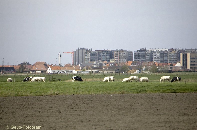 wandel2daagseblankenbergefoto40.jpg