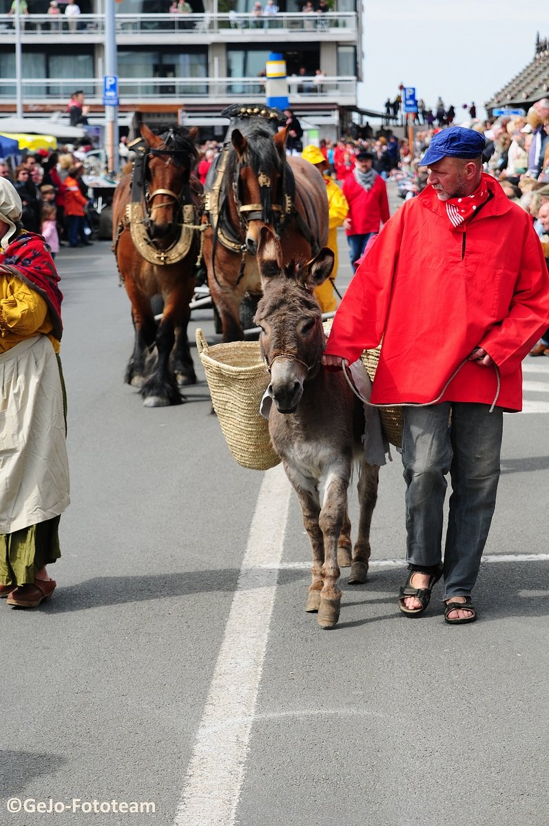 havenfeestenblankenbergegrotevisserstoetfoto52.jpg